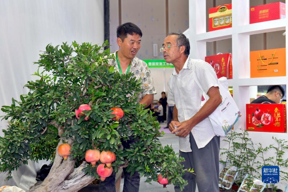 最大的外围平台